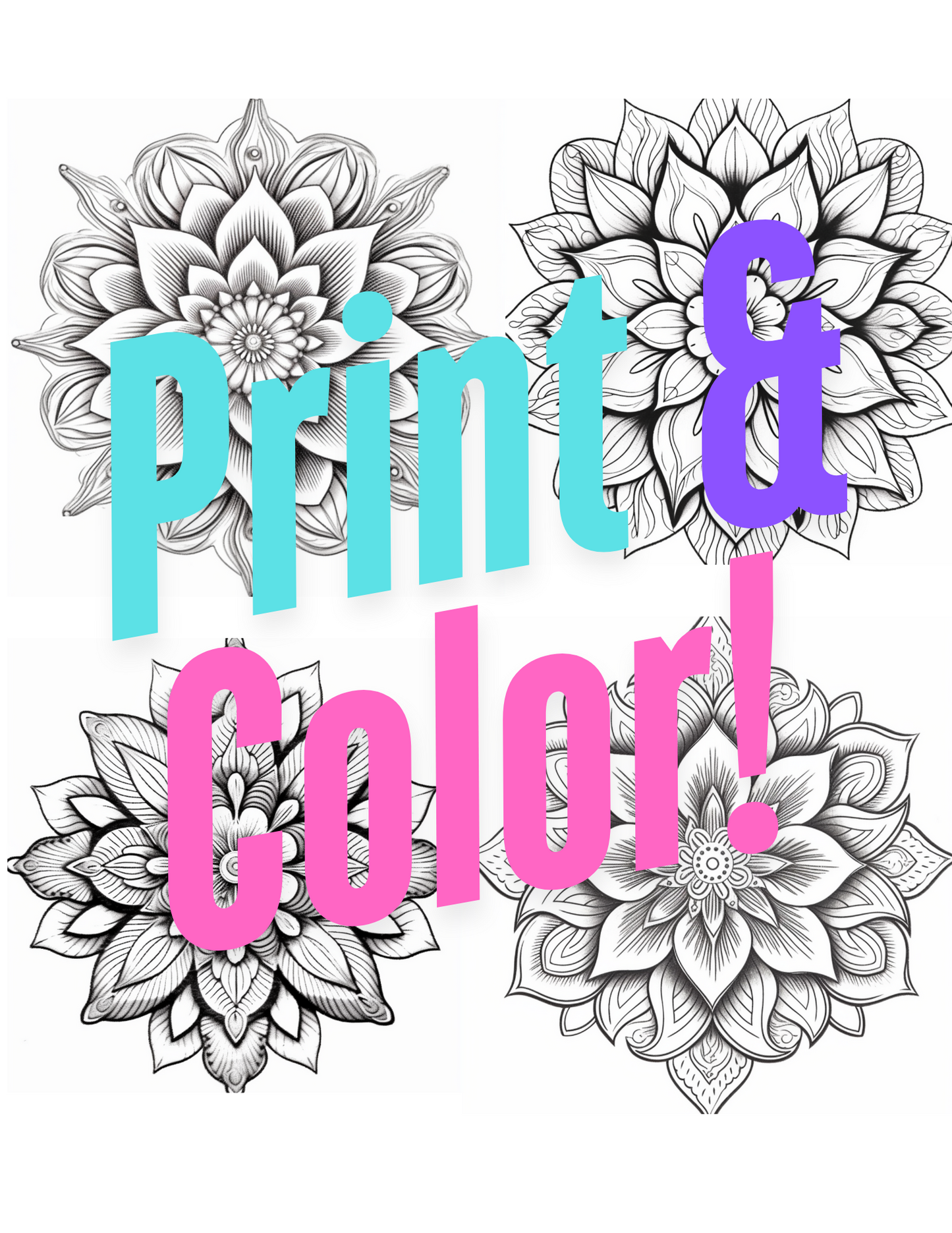 Classic Mandala Coloring Book Vol #2