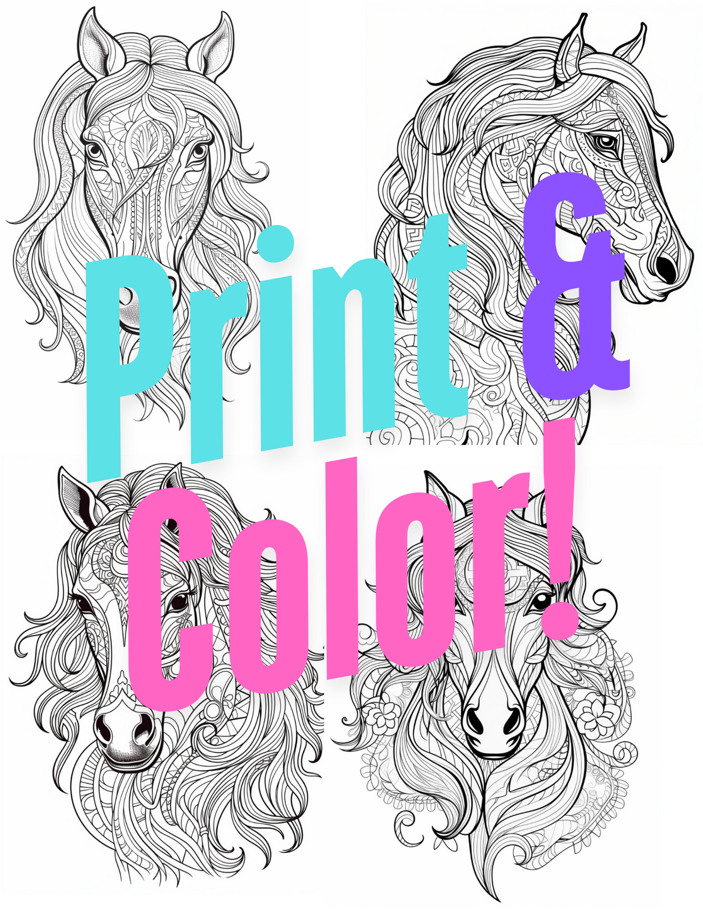 Horse Coloring Book Vol #3