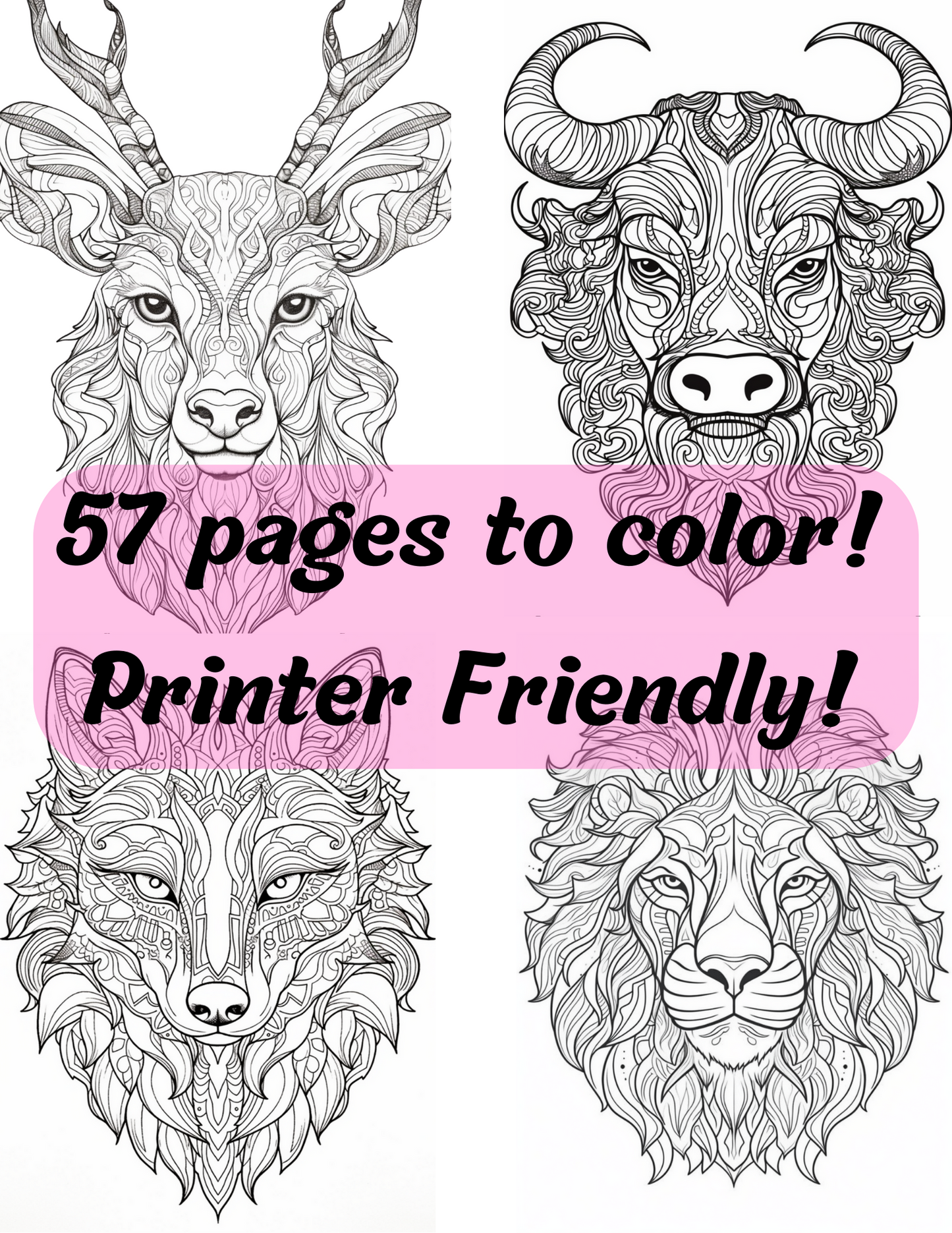 Animal Coloring Book Vol #1