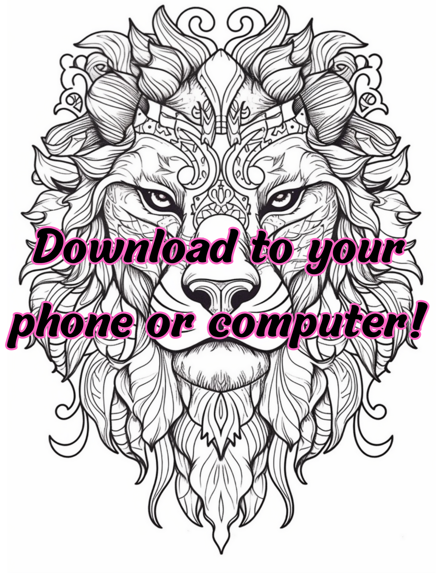 Animal Coloring Book Vol #1
