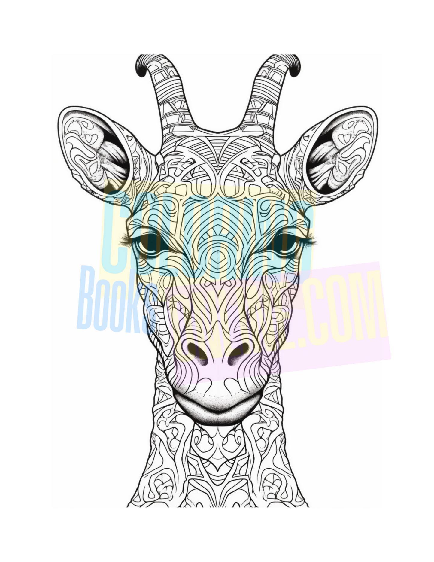 Animal Coloring Book Vol #1