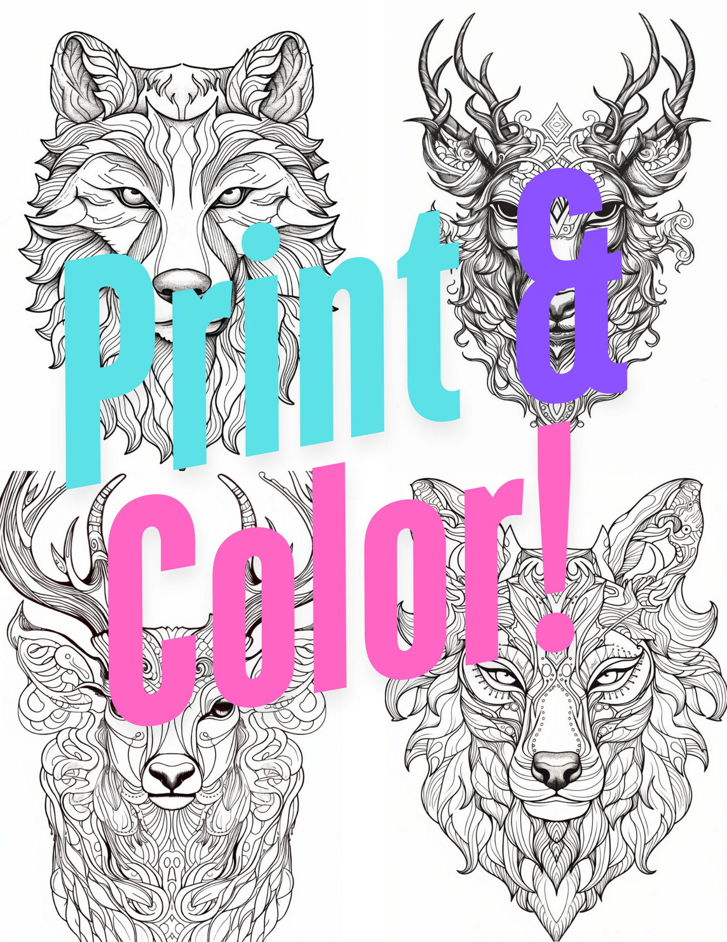 Animal Coloring Book Vol #2