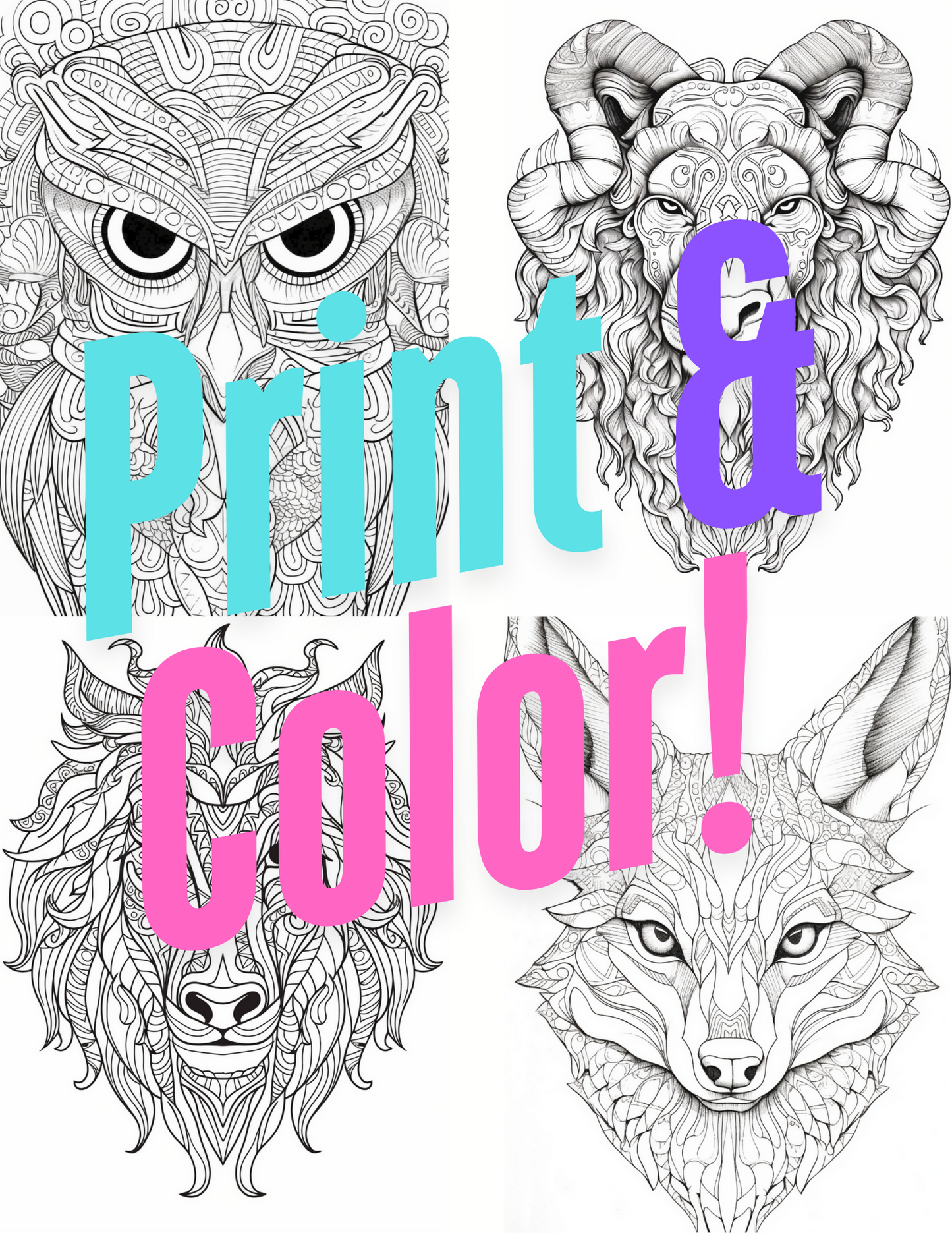 Animal Coloring Book Vol #3