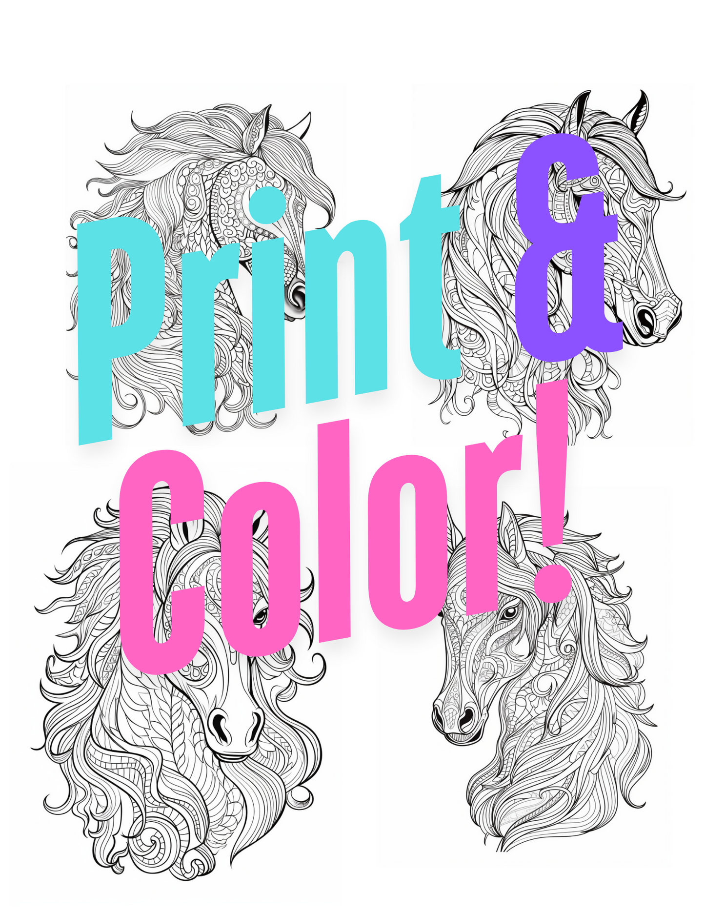 Horse Coloring Book Vol #1