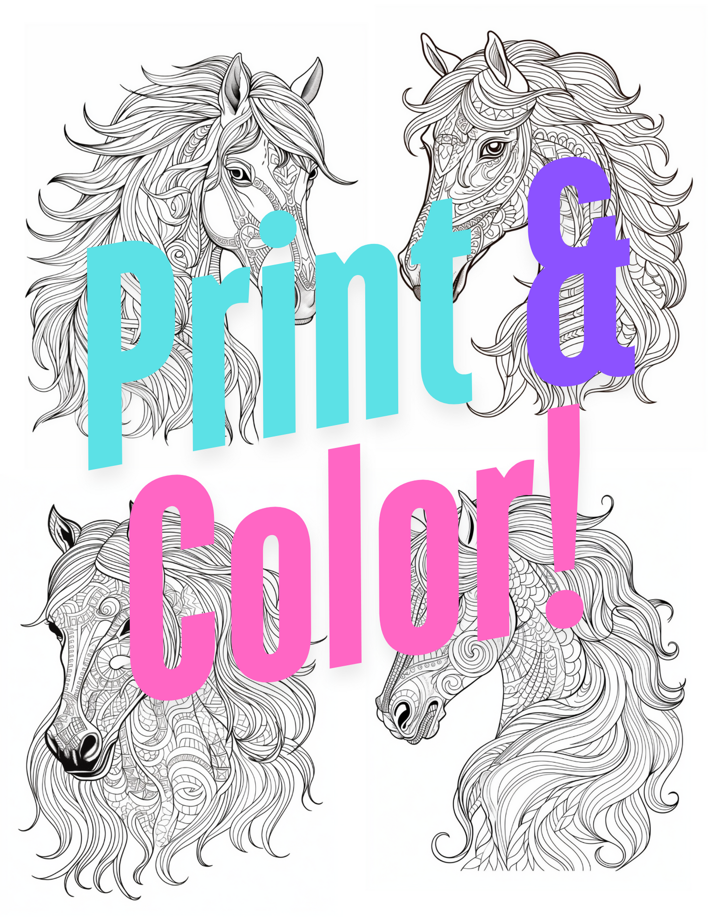 Horse Coloring Book Vol #2