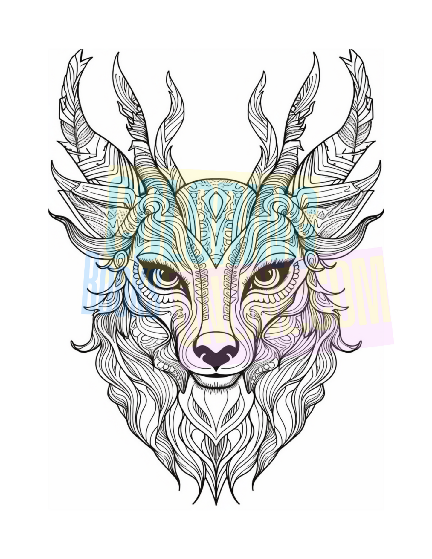 Animal Coloring Book Vol #2