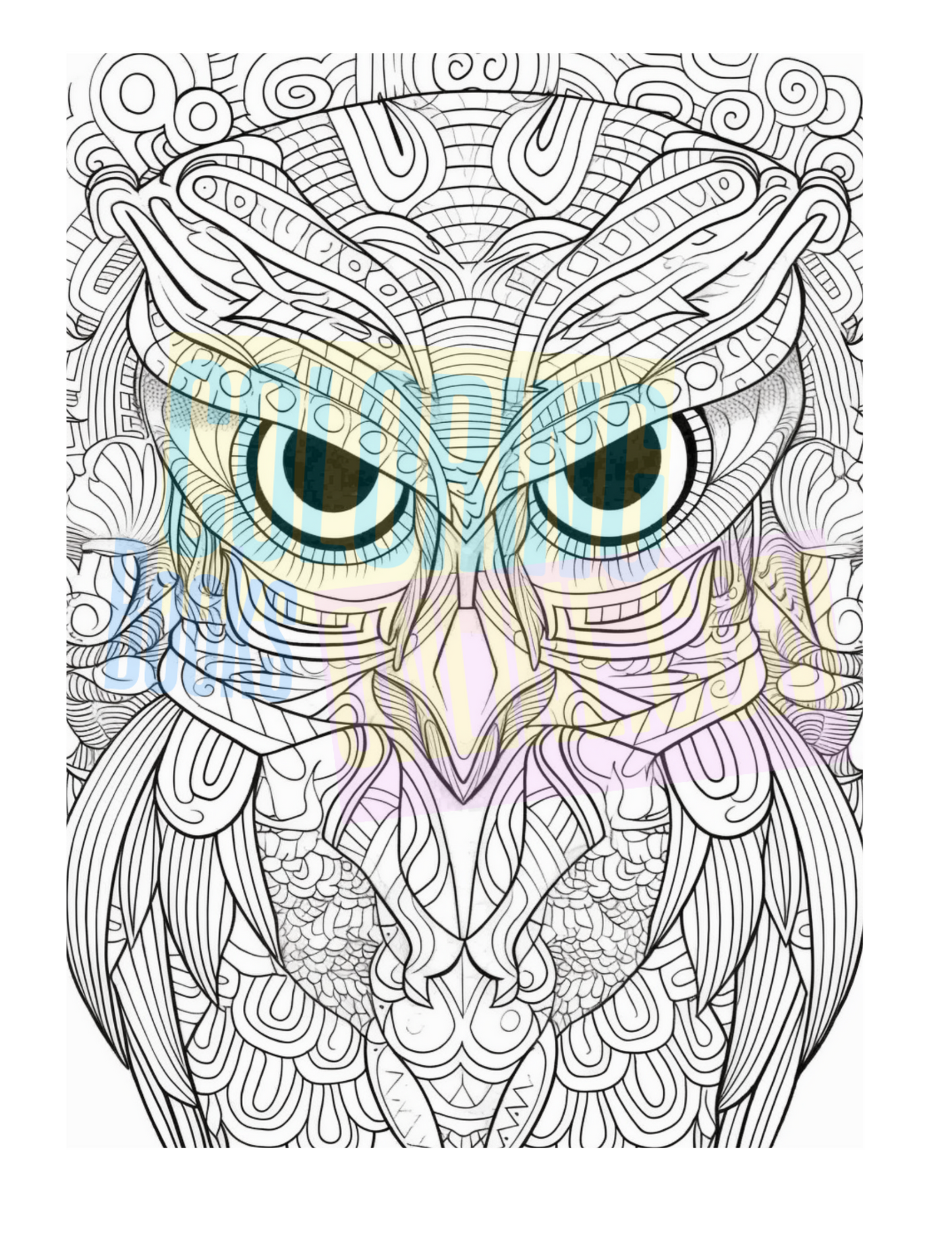 Animal Coloring Book Bundle Deal