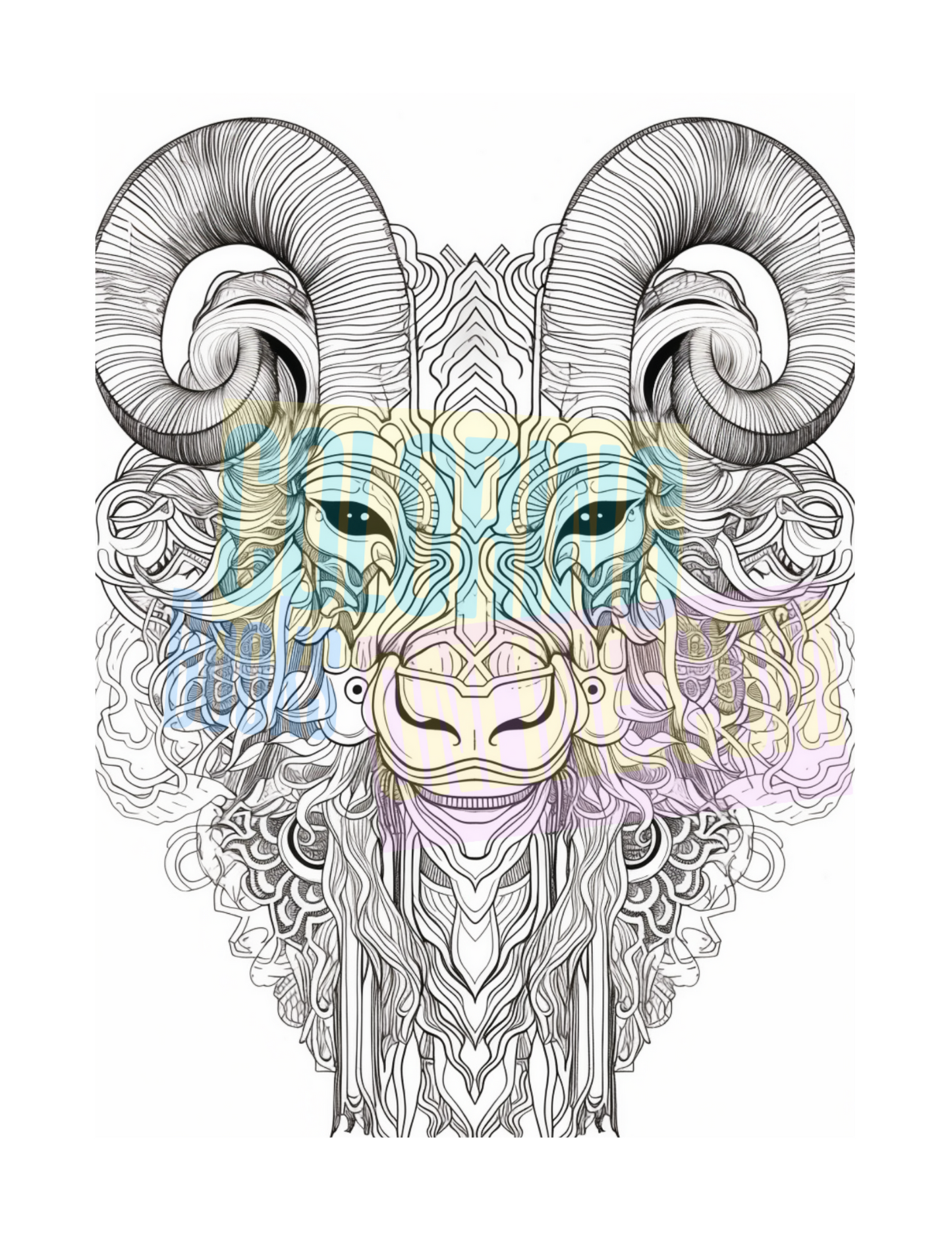 Animal Coloring Book Vol #3