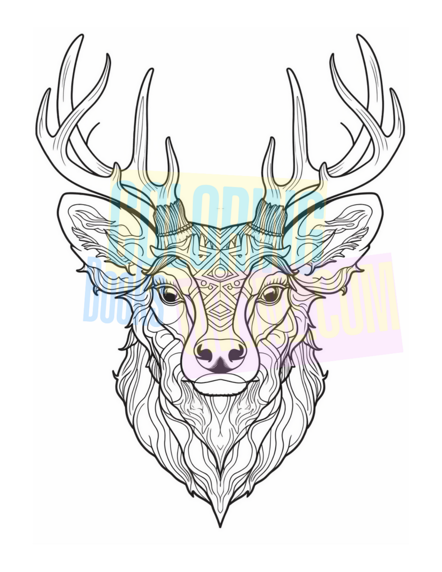 Animal Coloring Book Bundle Deal